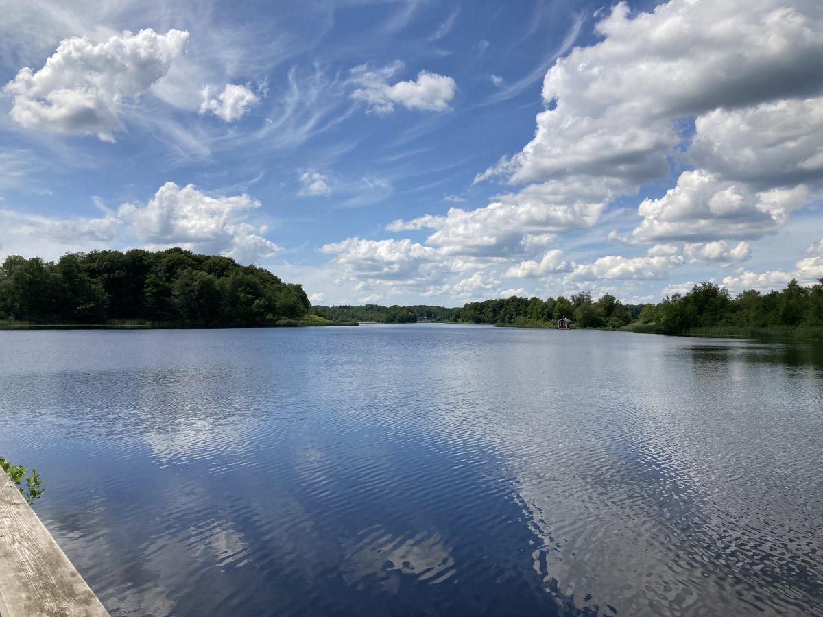 En av många sjöar i Höörs kommun.