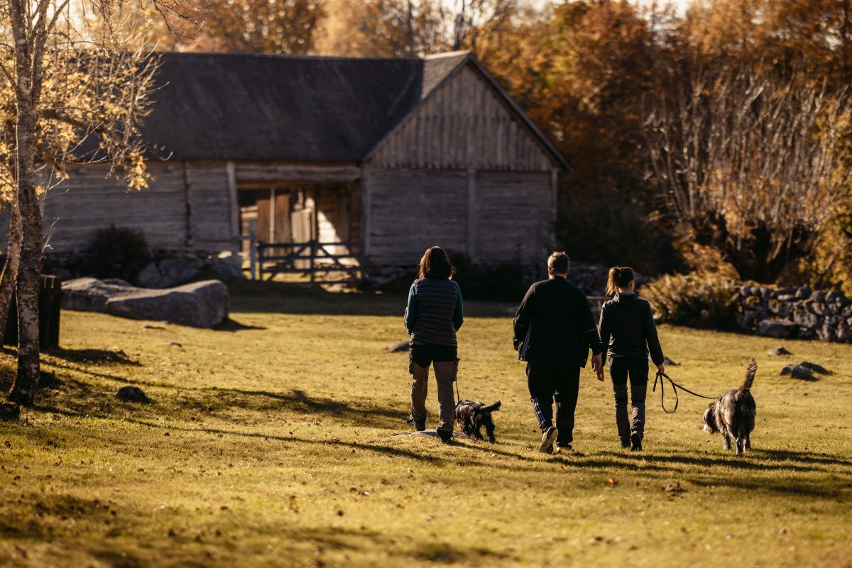 Promenad i skogen i Östra Göinge kommun.